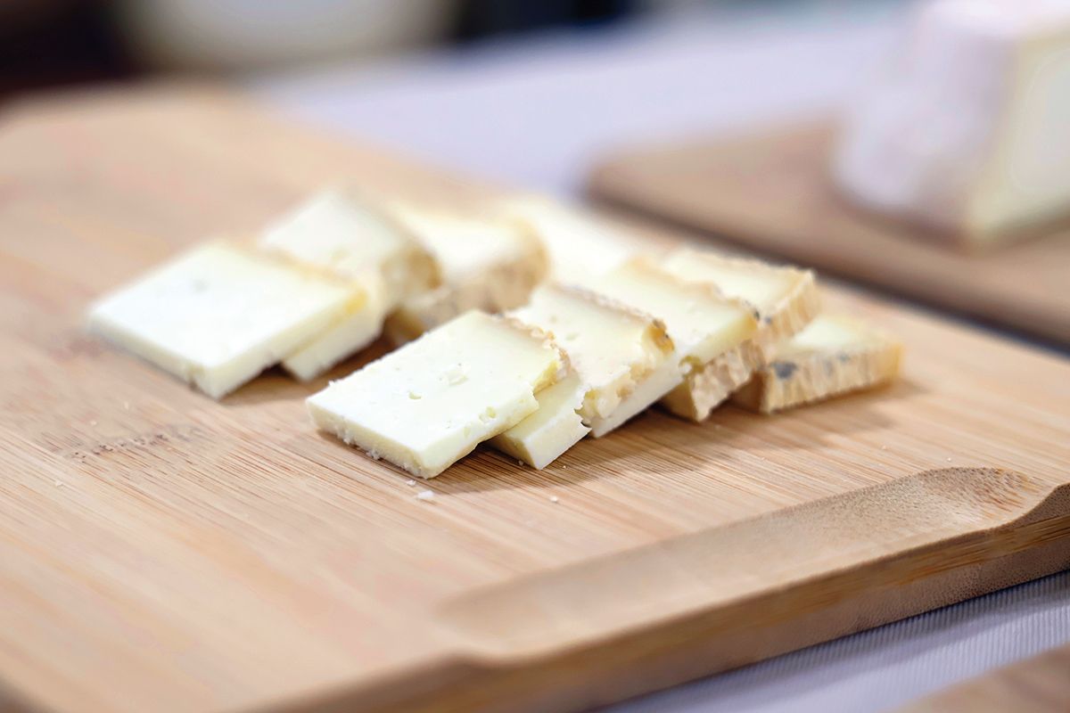 Zejtun scientists cheesemaking