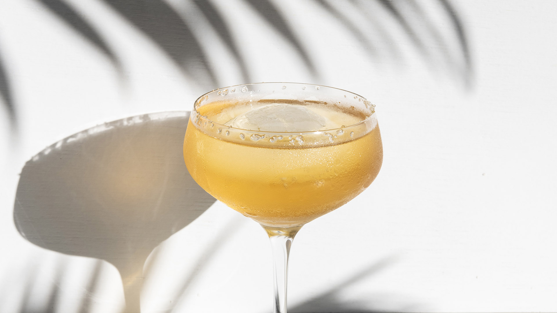 sole by tarragon cocktail