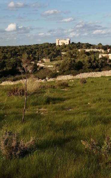 Verdala Palace Malta