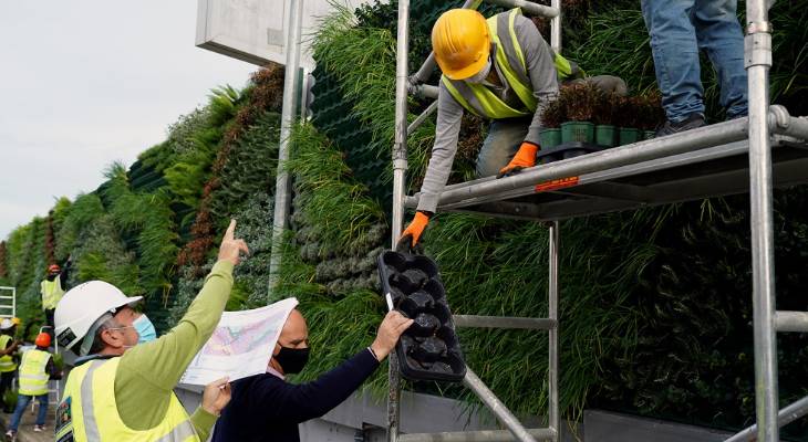 Green Wall