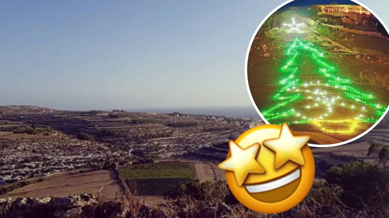 Holy smokes! Could this be the tallest Christmas tree in Gozo?