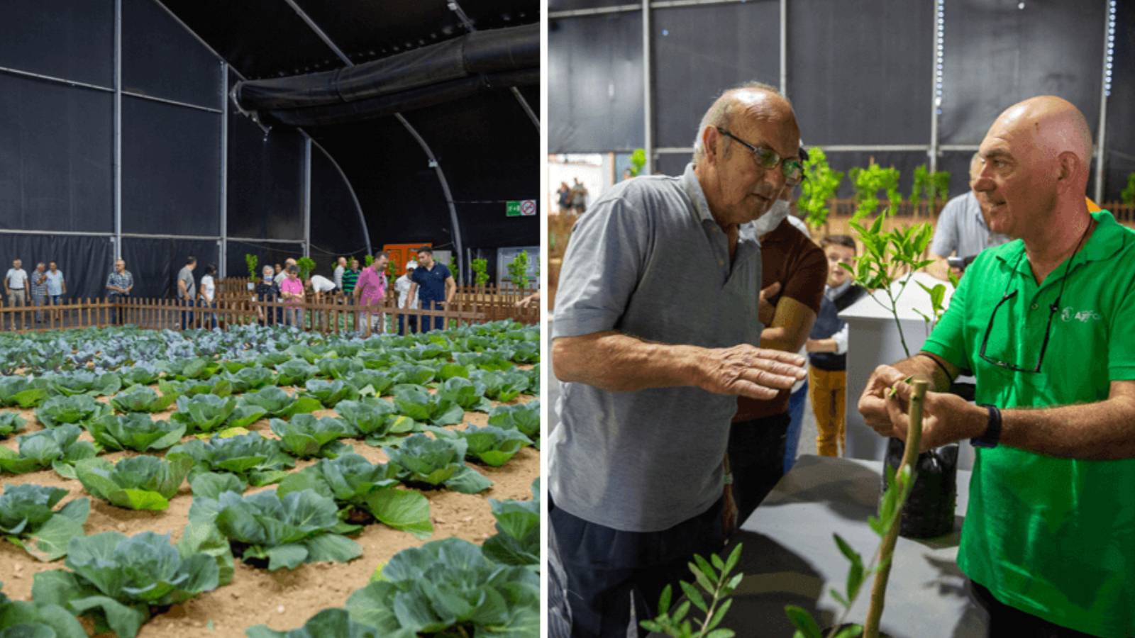 Exploring Malta’s agriculture! Second edition of AgriFair announced