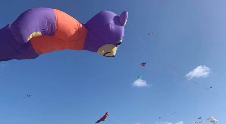 kites