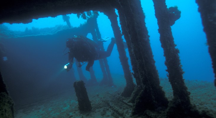 Go diving