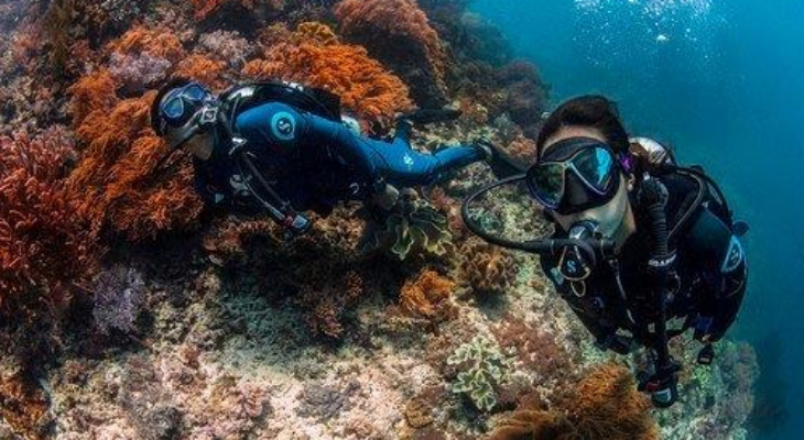 diving
