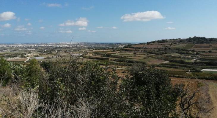 Malta
