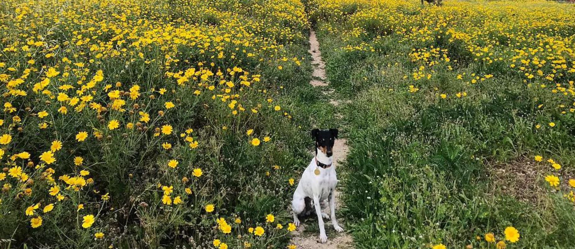 The perfect picnic set up in Malta what to pack & where to go
