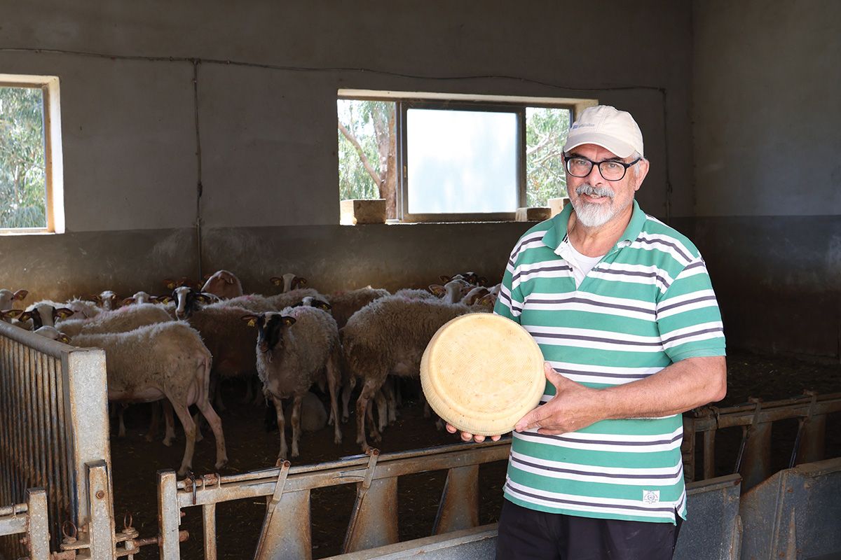 Cheesemaking Malta