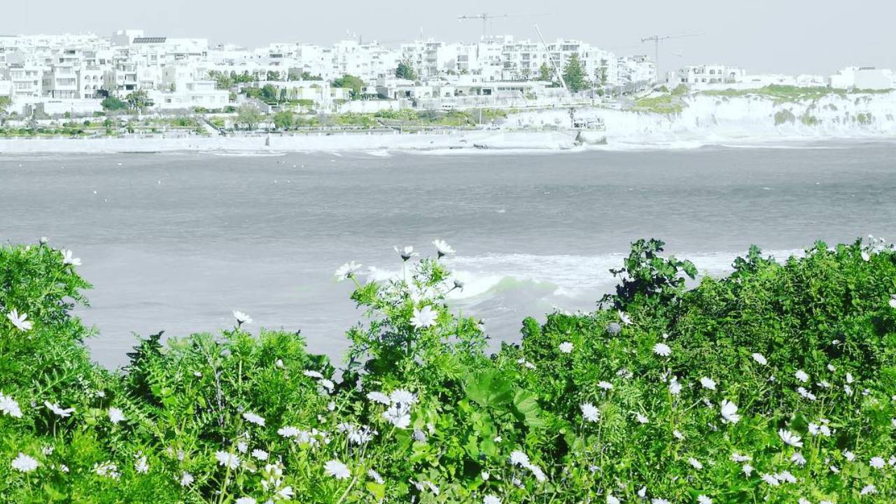5 great green ideas we'd like to see in Malta in 2020