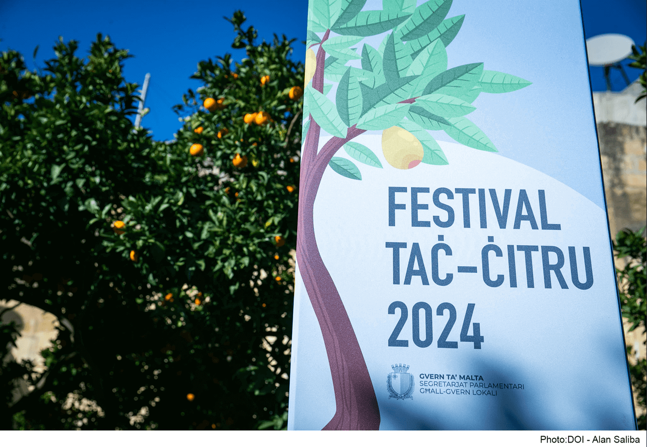 citrus festival
