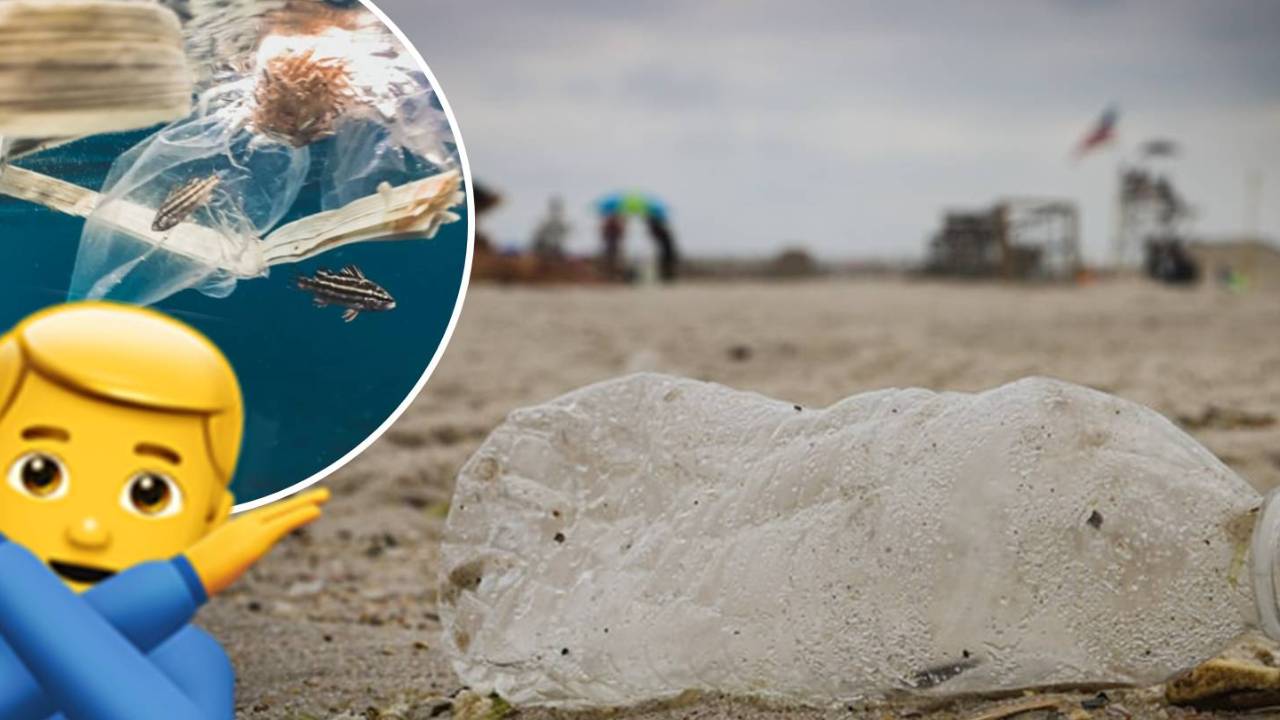 Great stuff! Malta is among the first countries to ban imports of