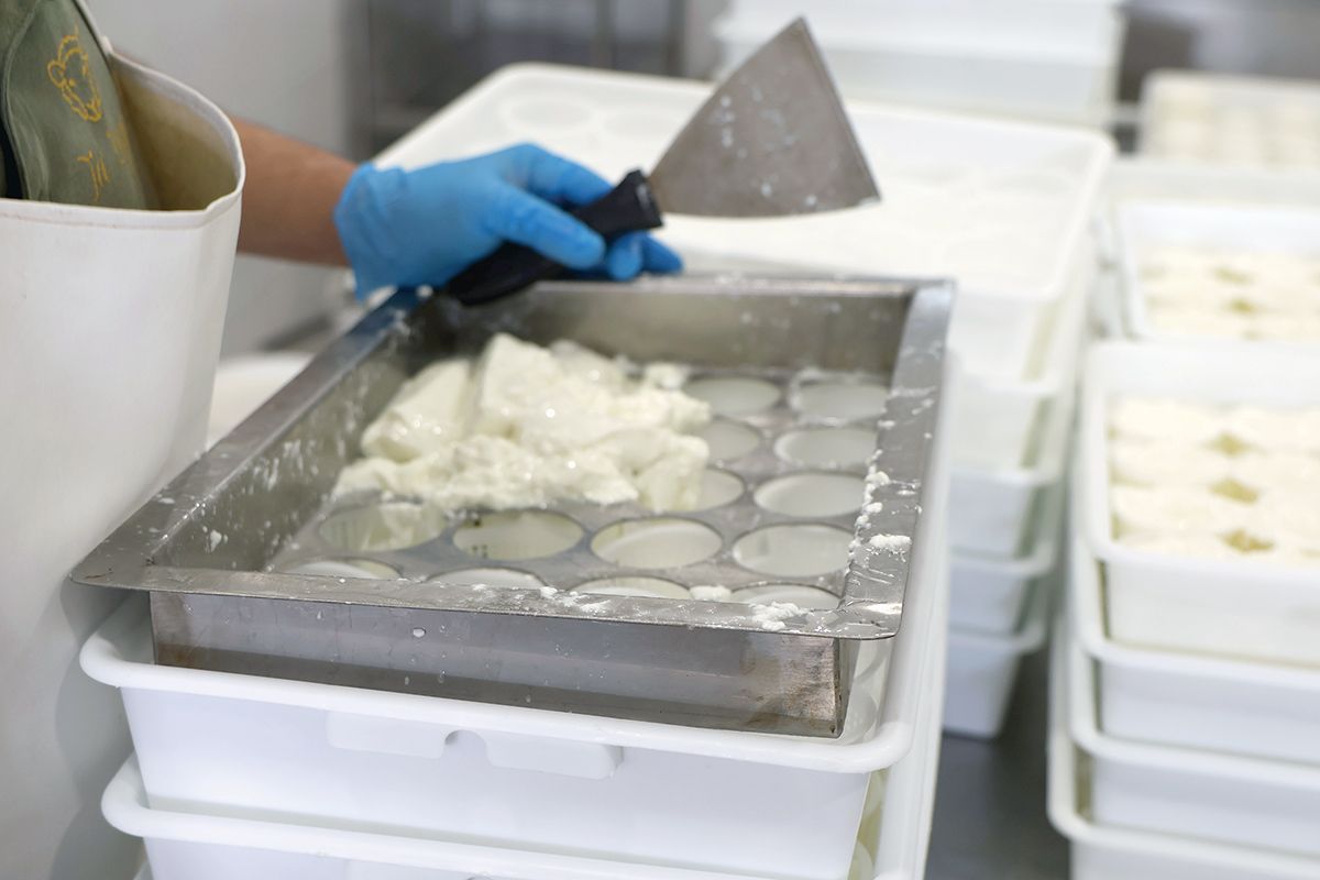Cheesemaking Malta