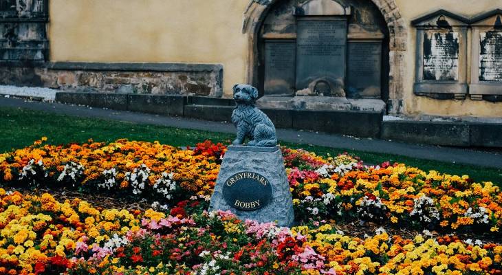 pet memorial