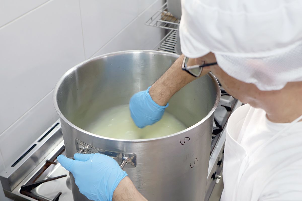 Zejtun scientists cheesemaking