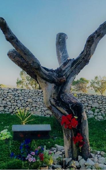Crucifix Tree