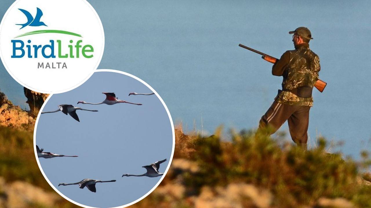 As hunting season begins, BirdLife calls for responsibility towards