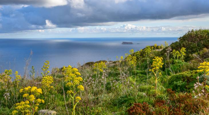 Natura 2000 sites malta