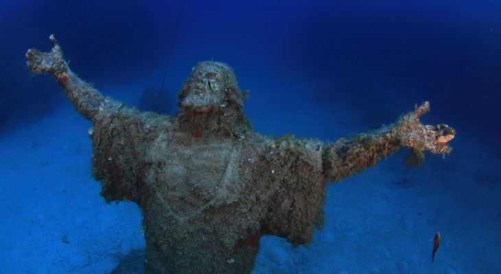 Seashell Dive Centre