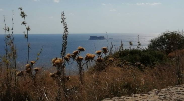 Malta