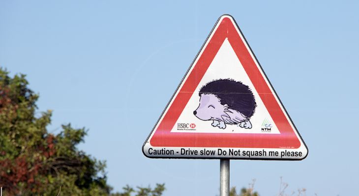 sign