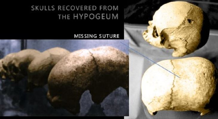 skulls found at the hypogeum