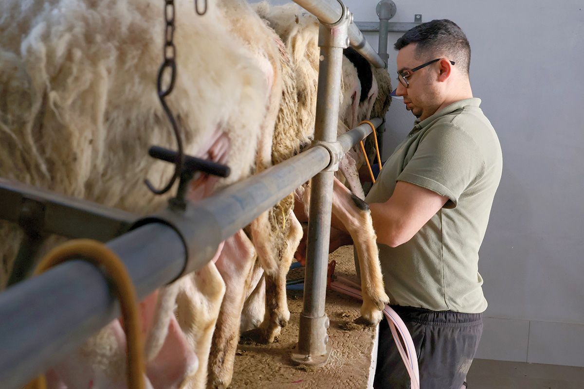 Cheesemaking Malta
