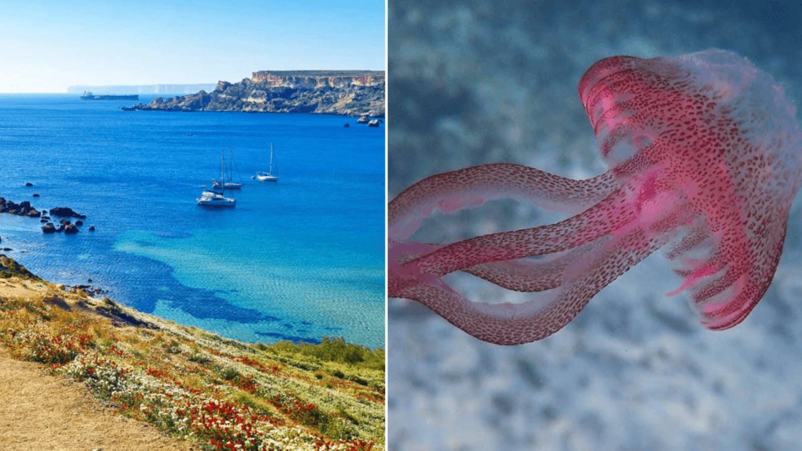 Be Careful! Well over half of Malta and Gozo’s beaches marked as unsafe