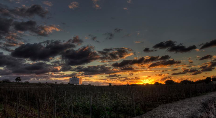 Some wine in the sun? Pick up a glass and go on a tour of Malta’s vineyards