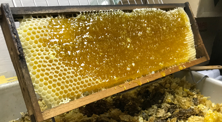 Honeycomb