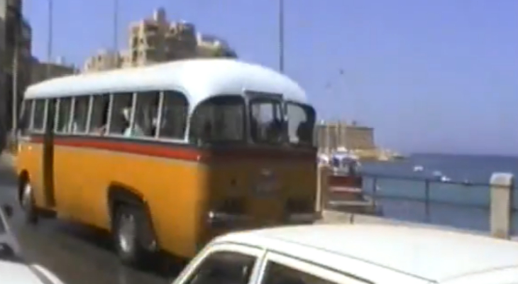 buses