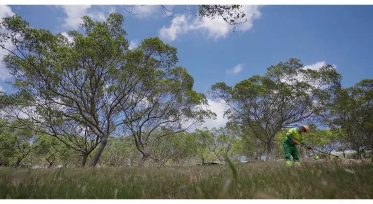 bormla grove