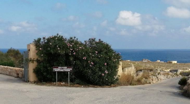 A walk around Delimara Xrobb l-Ghagin il-Hofriet