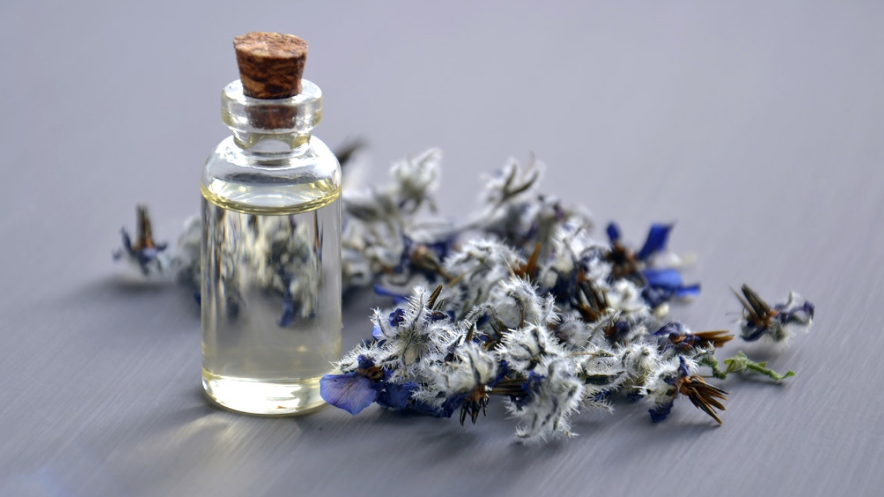 5 natural remedies to ward off mosquitoes