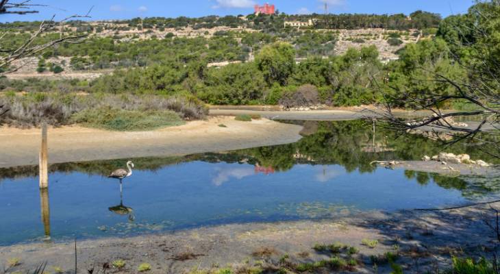 Natura 2000 sites malta