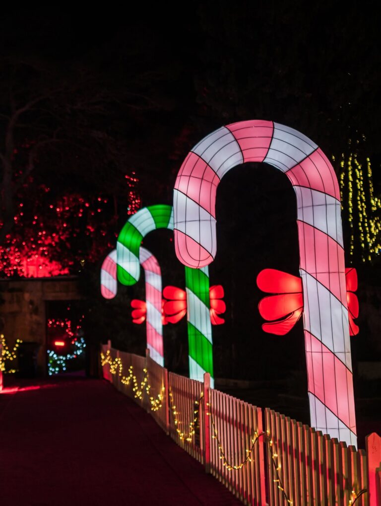 Christmas is that you? Malta’s Magical Illuminated Trail is back for the holiday season