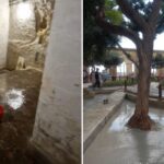Why tree planters at Upper Barrakka have been filled with concrete