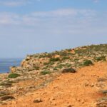 Let it rain! Recent autumnal showers bring new life to Majjistral’s native plants