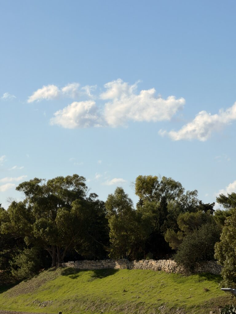 A cool breeze ahead! Sunshine continues across Malta as temperatures dip slightly