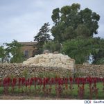 Wied Inċita goes greener! 7,000 square metres of new green space added