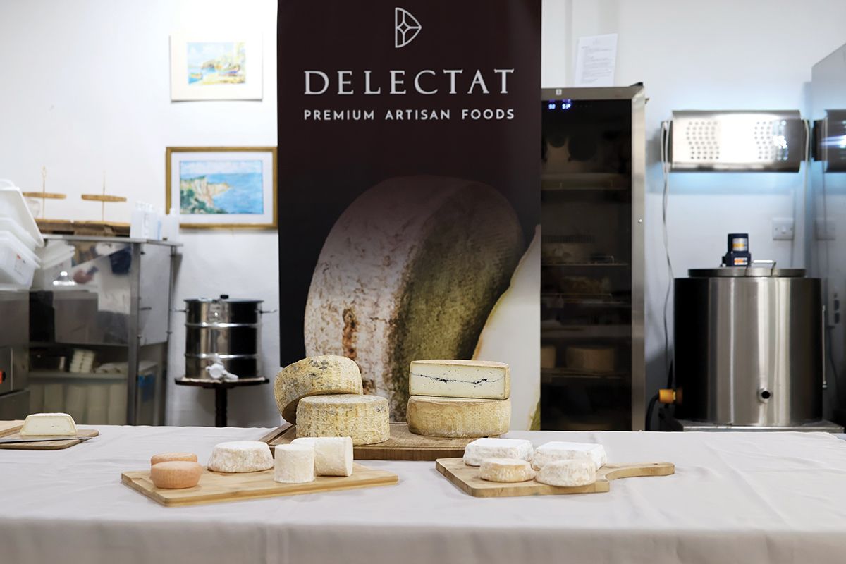 Zejtun scientists cheesemaking