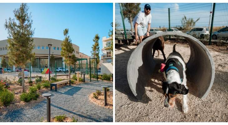 dog park
