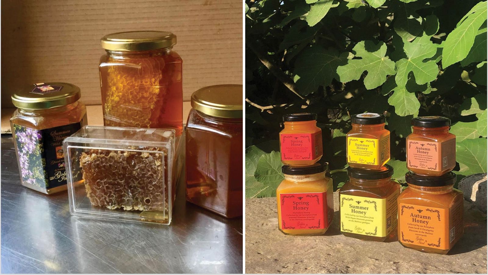 Beekeeping Malta