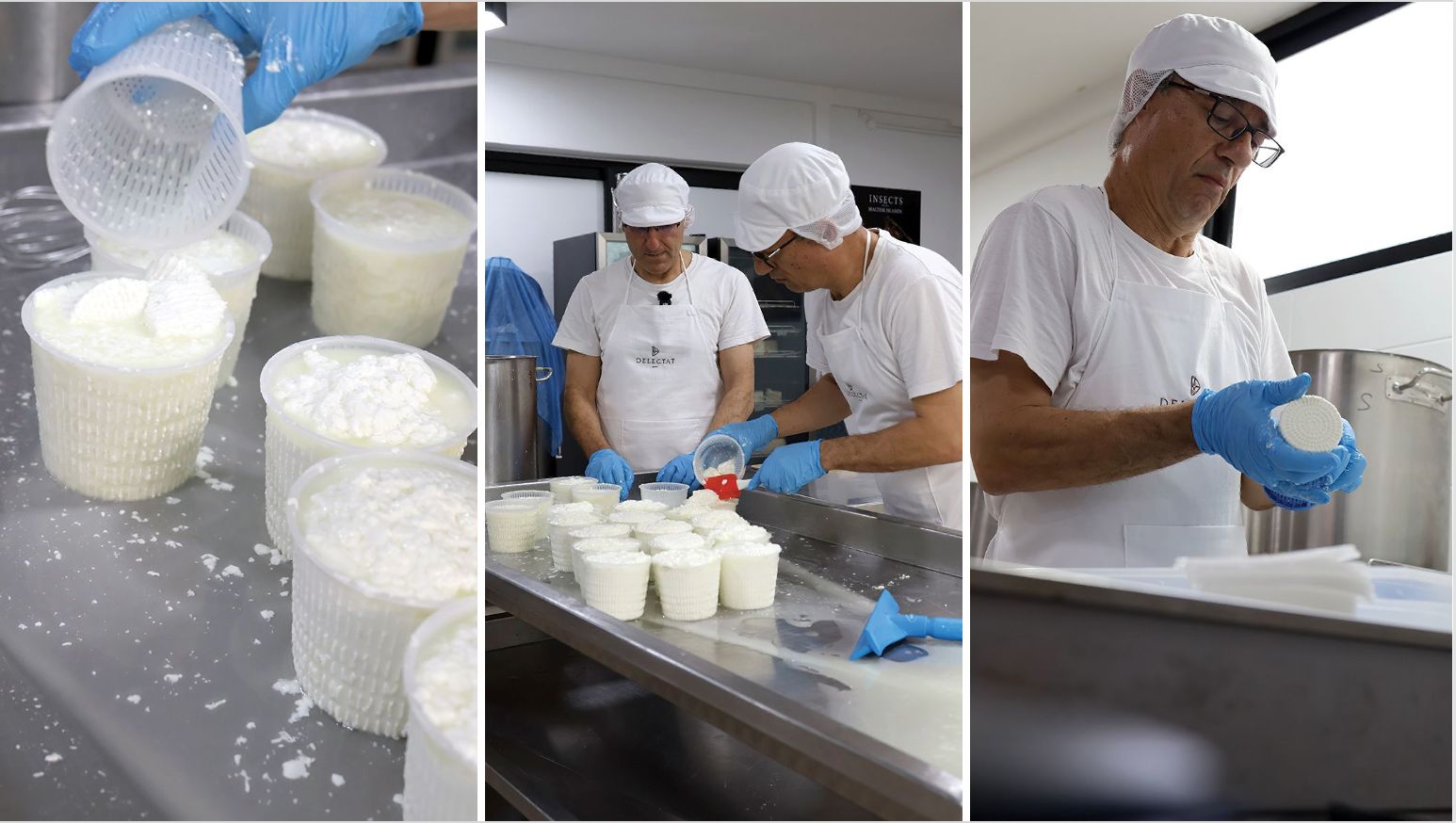 Zejtun scientists cheesemaking