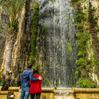 The Limestone Heritage Park and Gardens