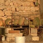 Discover the origins of traditional Maltese pumpkin pie (and the tastiest recipe to try)