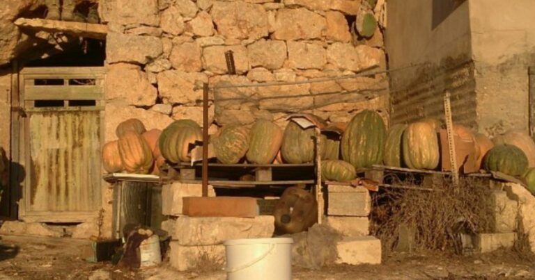 Discover the origins of traditional Maltese pumpkin pie (and the tastiest recipe to try)